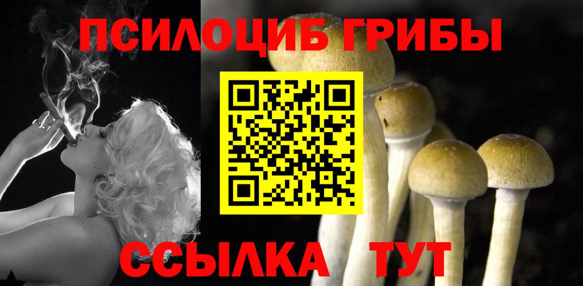 Псилоцибиновые грибы прущие грибы  Псилоцибиновые грибы мицелий  Вход с VPN  Чита 